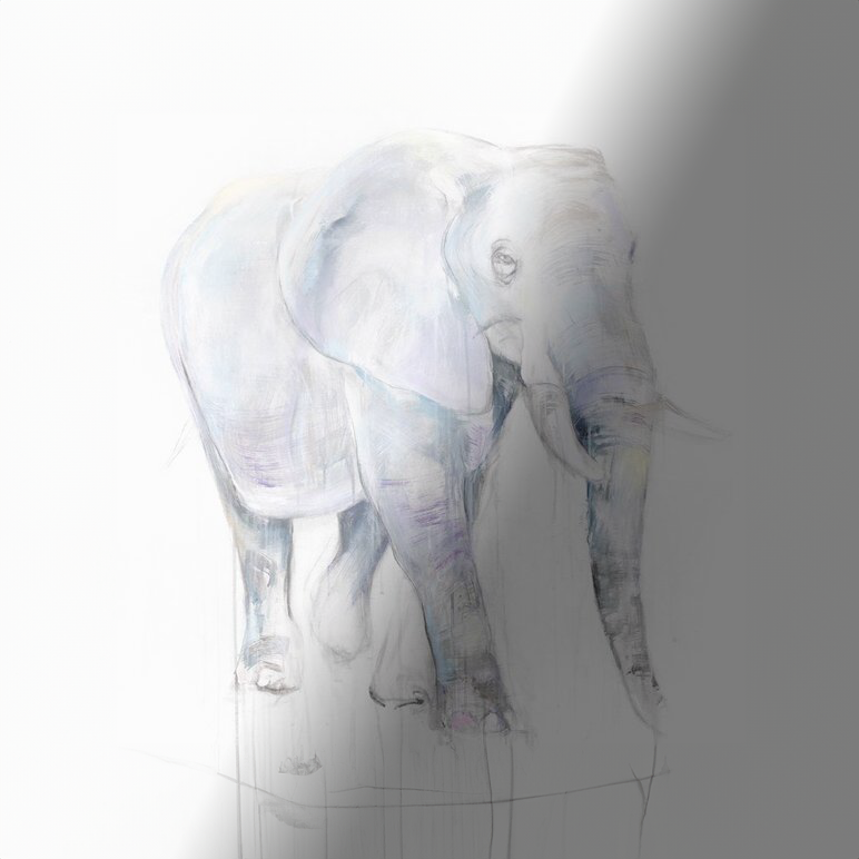 Myriam Rousseau Elephant I